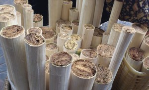 krolan-sticky-rice-cooked-in-bamboo-tubes03